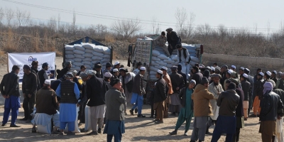 For 500 farmers in Kaldar district HADSO organization distributed checked wheat...